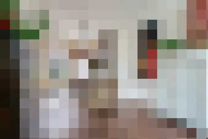 Nieuwe Boteringestraat 66 a Groningen thumbnail 16