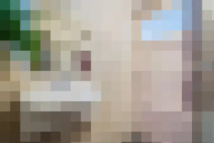 Nieuwe Boteringestraat 66 a Groningen thumbnail 32