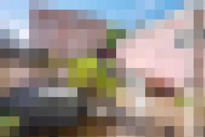 Nieuwe Boteringestraat 66 a Groningen thumbnail 35