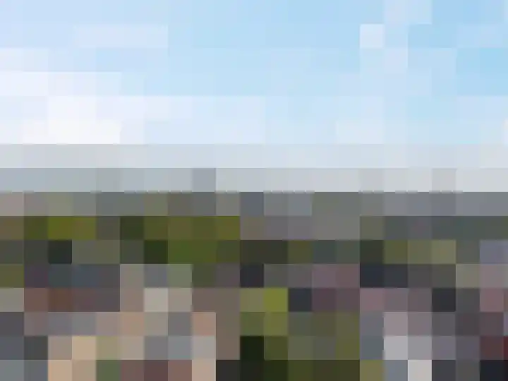 Nieuwe Boteringestraat 66 a Groningen thumbnail 5