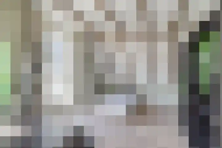 Nieuwe Boteringestraat 70 Groningen thumbnail 33
