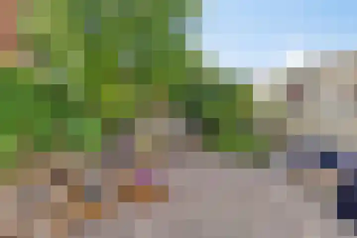 Nieuwe Boteringestraat 70 Groningen thumbnail 38