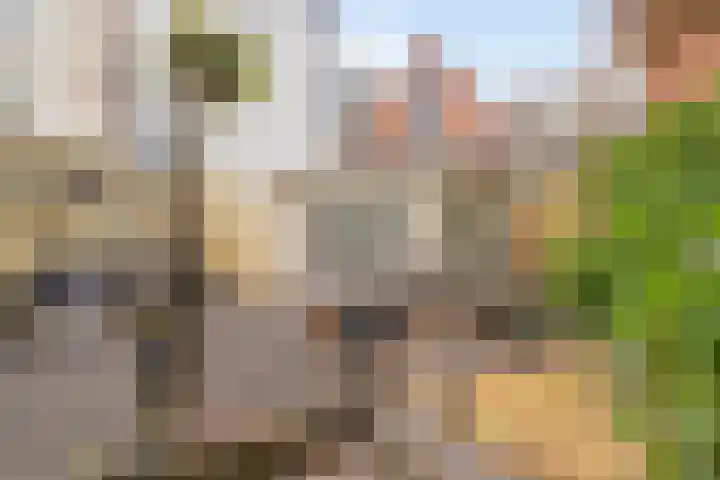 Nieuwe Boteringestraat 70 Groningen thumbnail 41