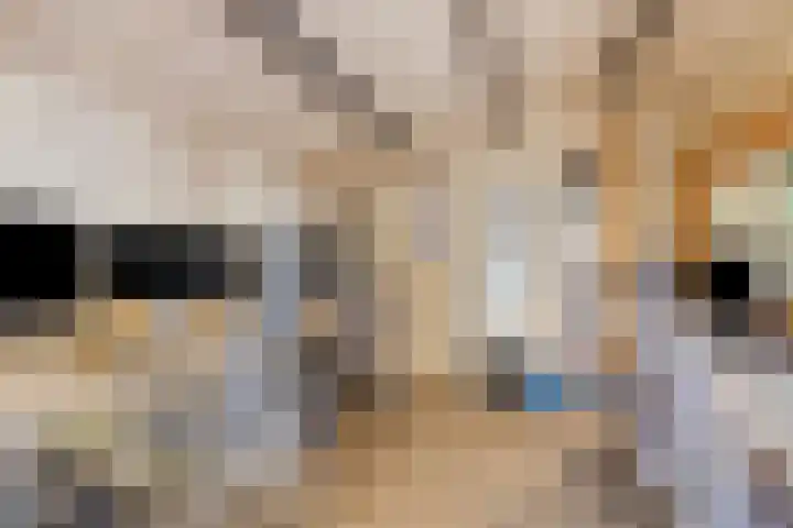 Nieuwe Boteringestraat 70 Groningen thumbnail 43