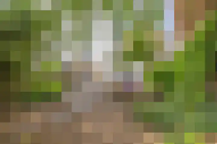 Nieuwe Boteringestraat 70 Groningen thumbnail 44