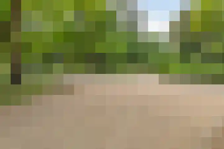 Nieuwe Boteringestraat 70 Groningen thumbnail 48