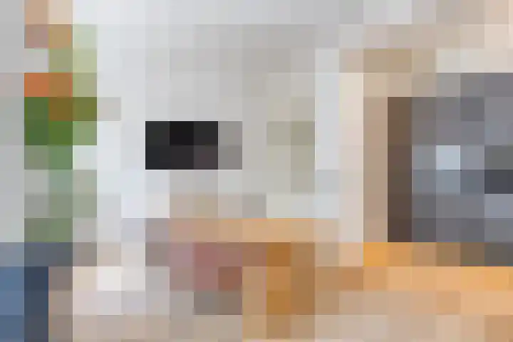 Nieuwe Boteringestraat 70 Groningen thumbnail 9