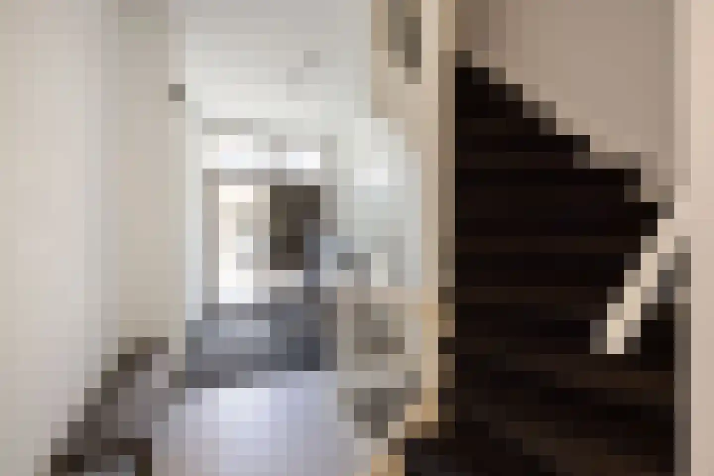 Nieuwe Boteringestraat 71 b Groningen thumbnail 11