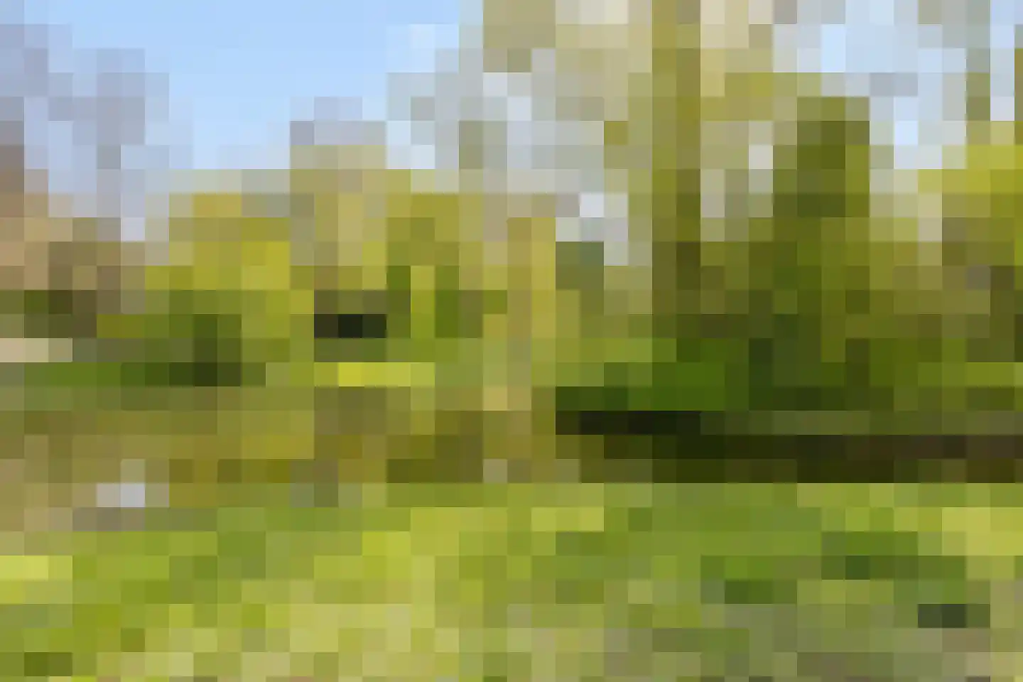 Nieuwe Boteringestraat 71 b Groningen thumbnail 42