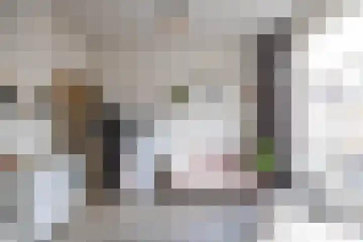 Nieuwe Boteringestraat 79 Groningen thumbnail 11