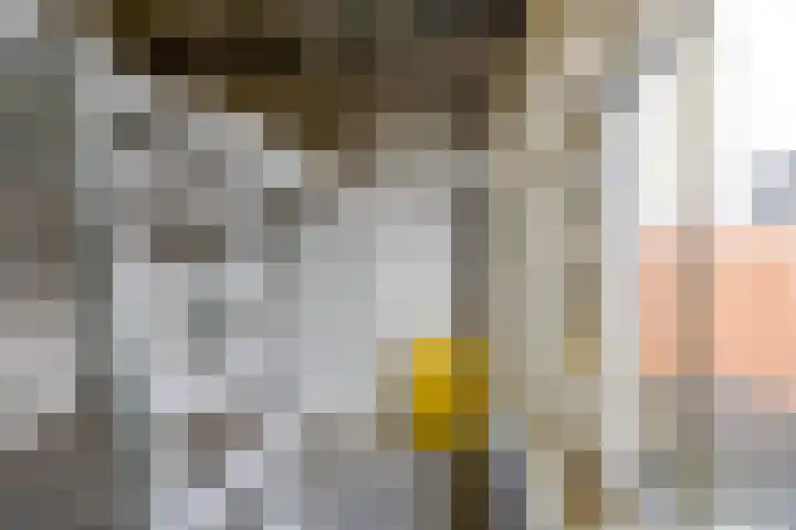 Nieuwe Boteringestraat 79 Groningen thumbnail 12