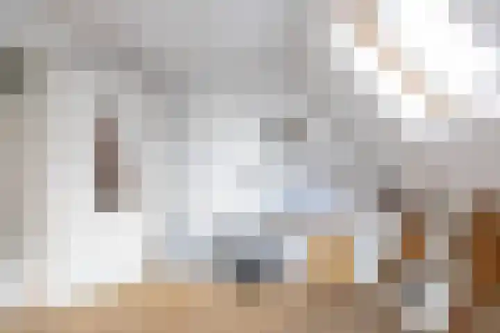 Nieuwe Boteringestraat 79 Groningen thumbnail 19