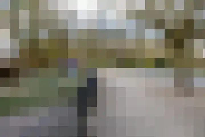 Nieuwe Boteringestraat 79 Groningen thumbnail 22