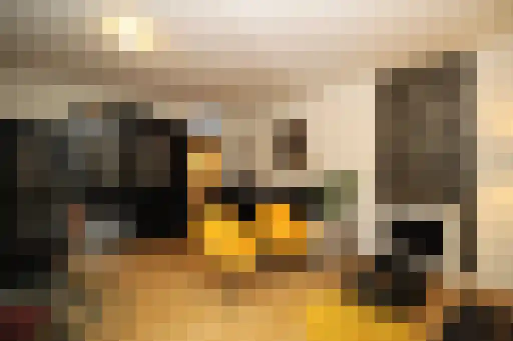 Nieuwe Boteringestraat 90 Groningen thumbnail 5
