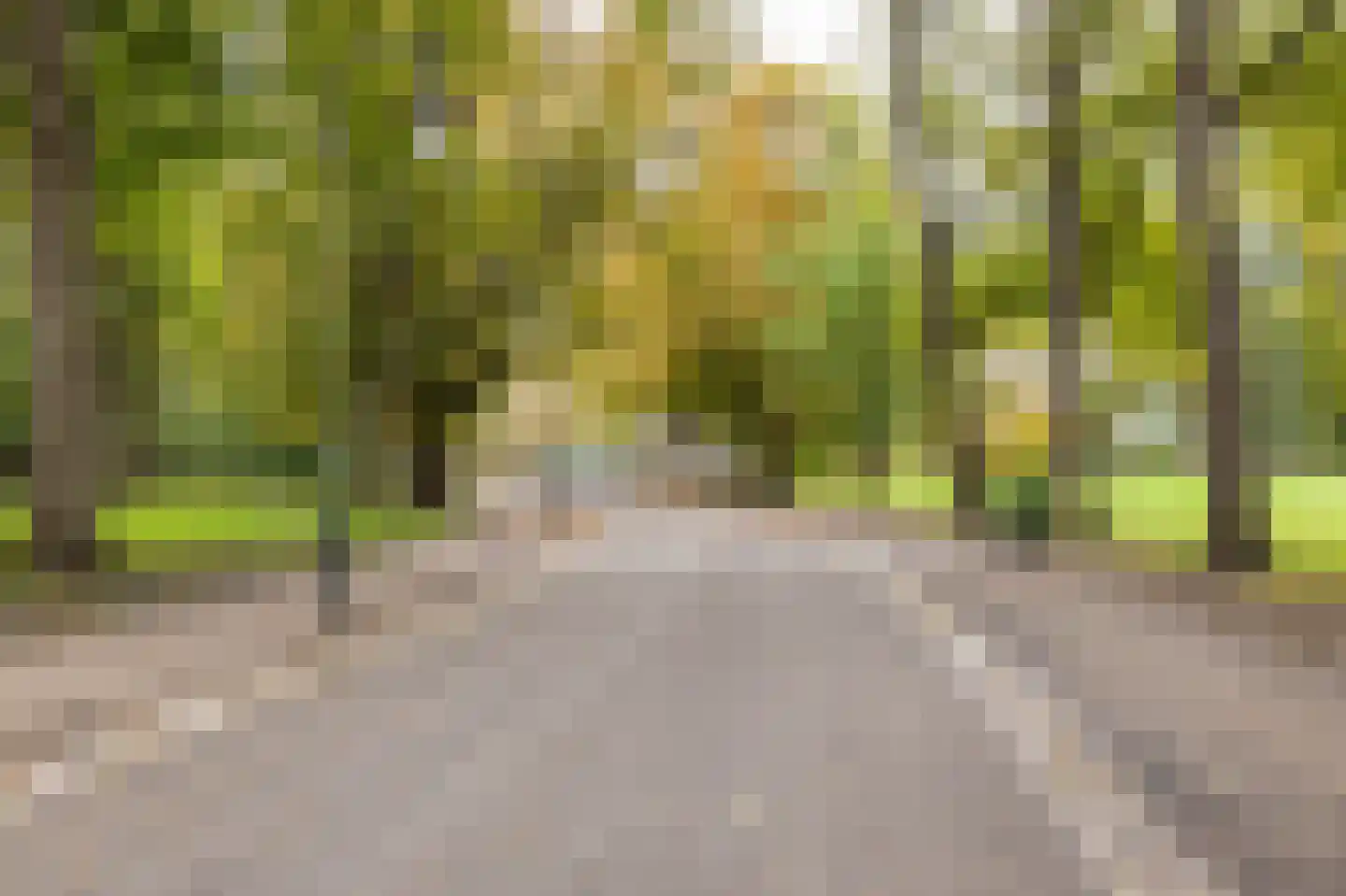 Nieuwe Boteringestraat 92 b Groningen thumbnail 45