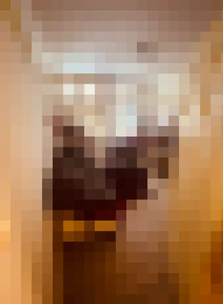 Nieuwe Boteringestraat 98 Groningen thumbnail 10