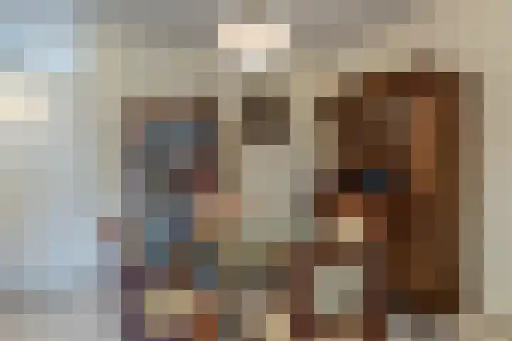 Nieuwe Bouwlingstraat 10 Oosterhout thumbnail 10