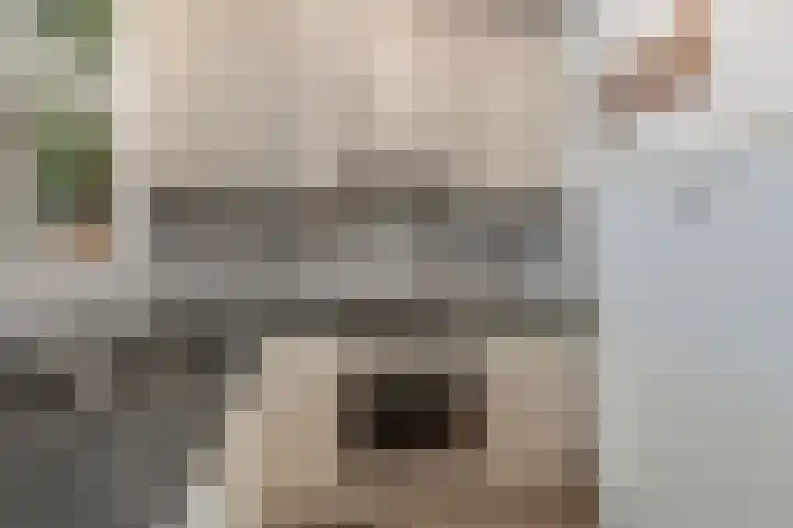 Nieuwe Bouwlingstraat 10 Oosterhout thumbnail 13