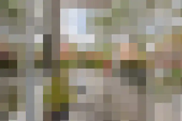 Nieuwe Bouwlingstraat 10 Oosterhout thumbnail 24
