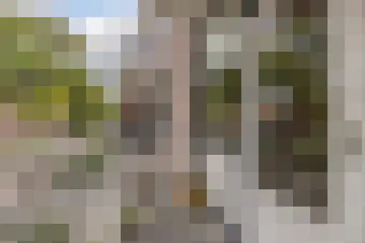 Nieuwe Bouwlingstraat 10 Oosterhout thumbnail 25