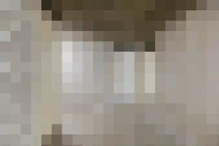 Nieuwe Bouwlingstraat 10 Oosterhout thumbnail 26