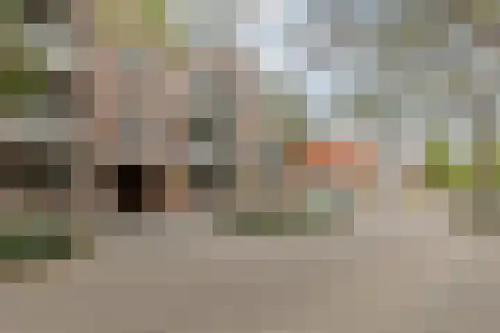 Nieuwe Bouwlingstraat 10 Oosterhout thumbnail 34
