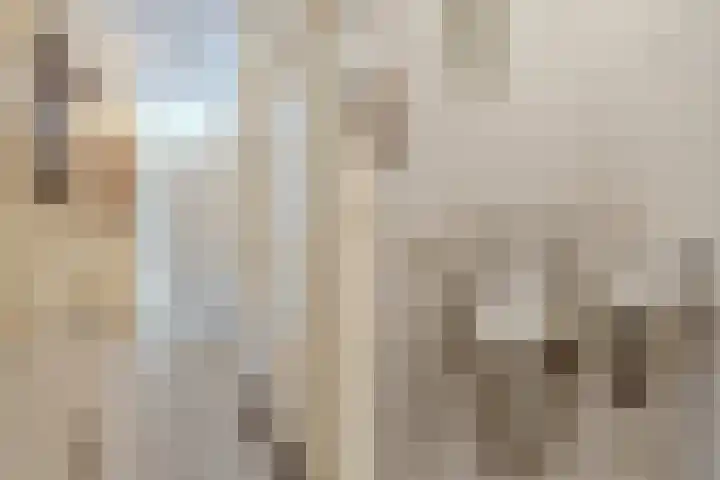 Nieuwe Bouwlingstraat 10 Oosterhout thumbnail 6