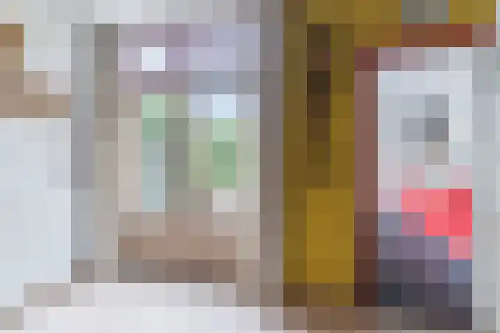 Nieuwe Bouwlingstraat 5 Oosterhout thumbnail 10