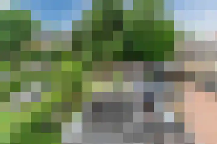 Nieuwe Bouwlingstraat 5 Oosterhout thumbnail 33