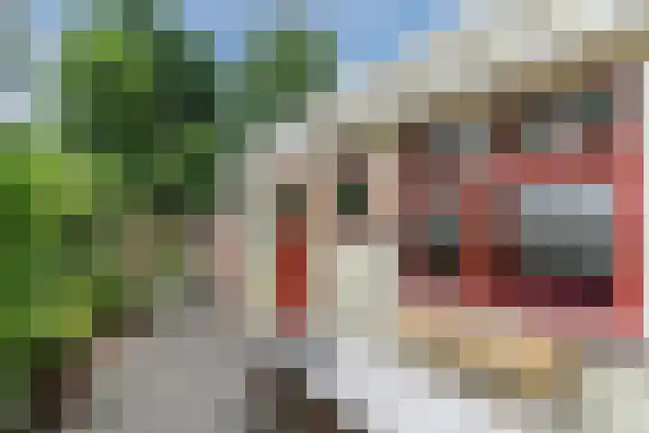 Nieuwe Bouwlingstraat 5 Oosterhout thumbnail 35