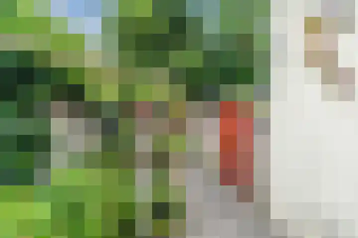 Nieuwe Bouwlingstraat 5 Oosterhout thumbnail 36