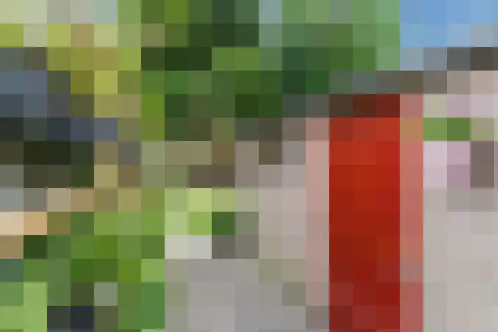 Nieuwe Bouwlingstraat 5 Oosterhout thumbnail 37