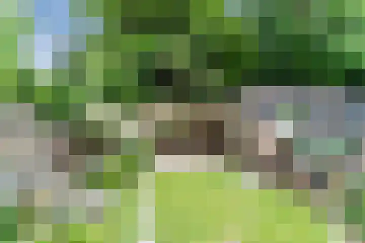 Nieuwe Bouwlingstraat 5 Oosterhout thumbnail 38