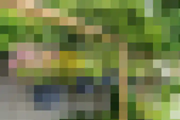 Nieuwe Bouwlingstraat 5 Oosterhout thumbnail 42