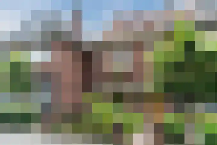 Nieuwe Bouwlingstraat 5 Oosterhout thumbnail 43
