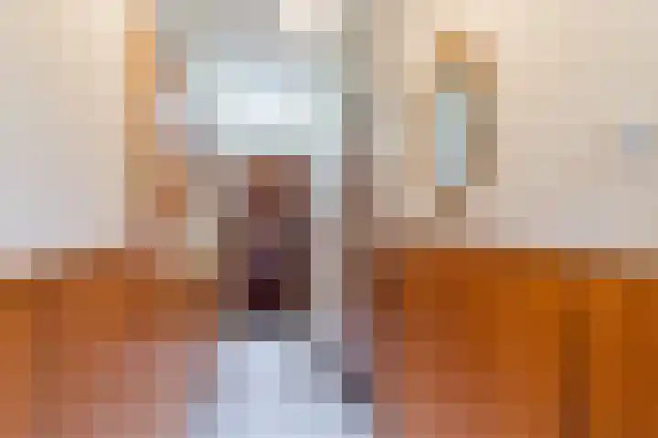Nieuwe Bouwlingstraat 5 Oosterhout thumbnail 5