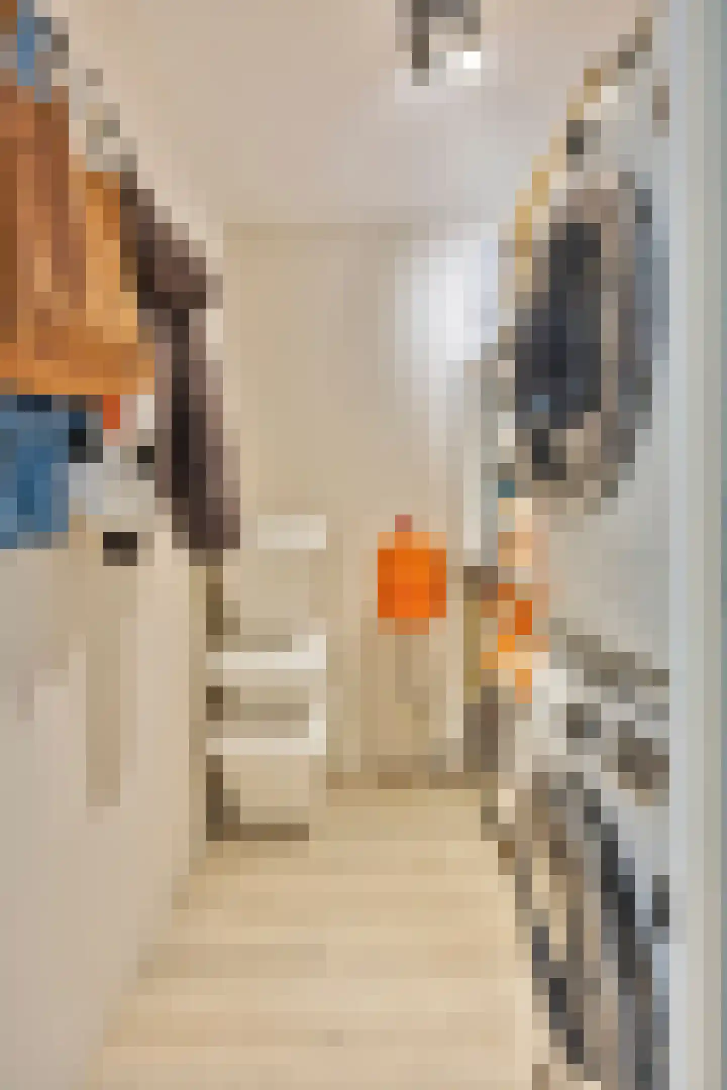 Nieuwe Bouwlingstraat 63 Oosterhout thumbnail 19
