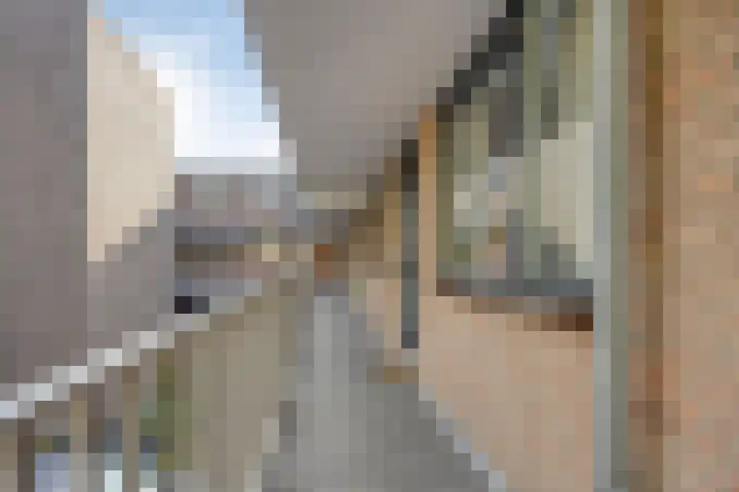 Nieuwe Bouwlingstraat 63 Oosterhout thumbnail 7