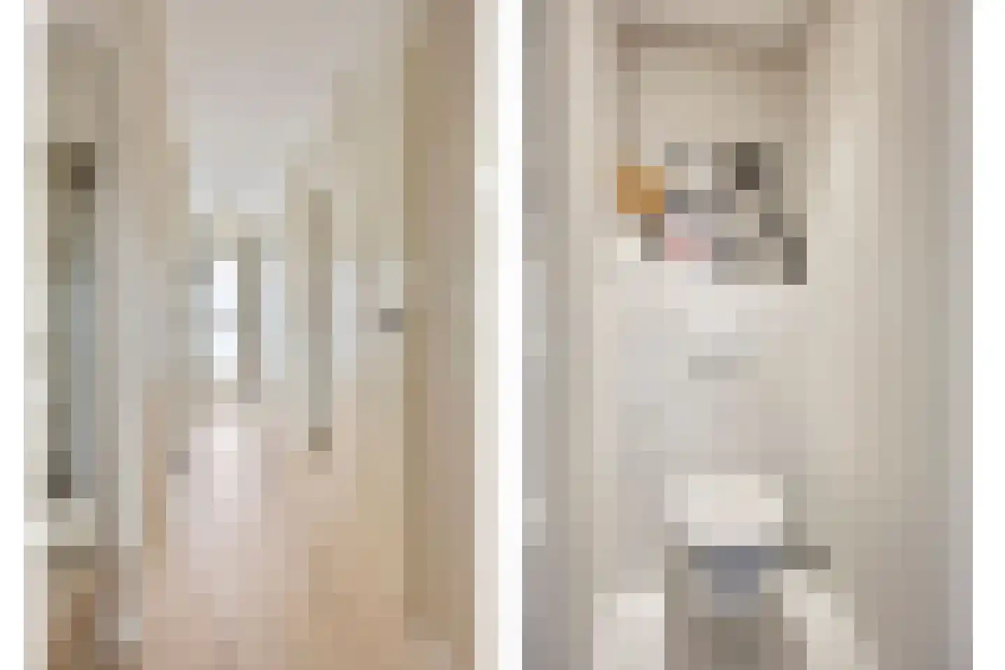 Nieuwe Bouwlingstraat 63 Oosterhout thumbnail 8