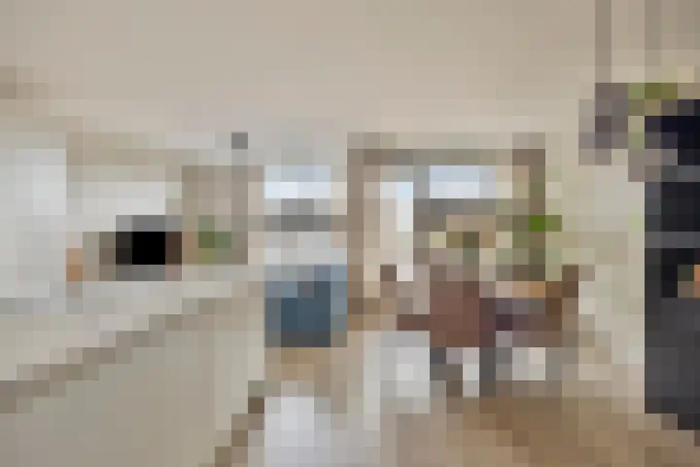 Nieuwe Bouwlingstraat 63 Oosterhout thumbnail 9