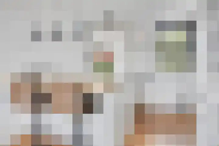 Nieuwe Bouwlingstraat 70 Oosterhout thumbnail 8