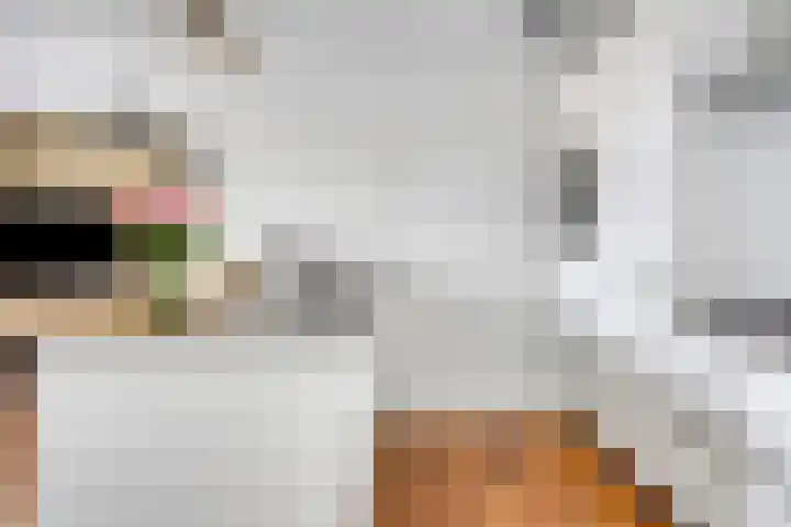 Nieuwe Bouwlingstraat 70 Oosterhout thumbnail 9