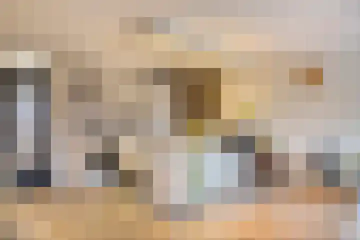 Nieuwe Bouwlingstraat 93 Oosterhout thumbnail 12