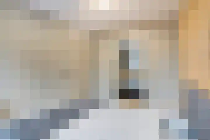 Nieuwe Bouwlingstraat 93 Oosterhout thumbnail 18