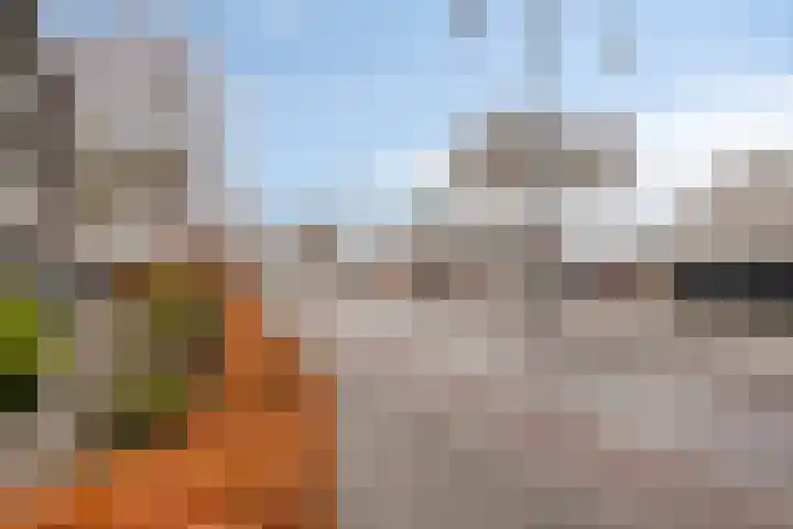Nieuwe Bouwlingstraat 93 Oosterhout thumbnail 26