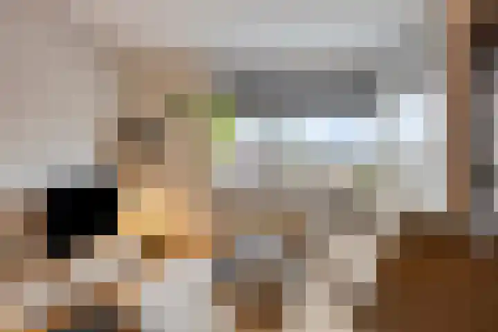 Nieuwe Bouwlingstraat 93 Oosterhout thumbnail 7