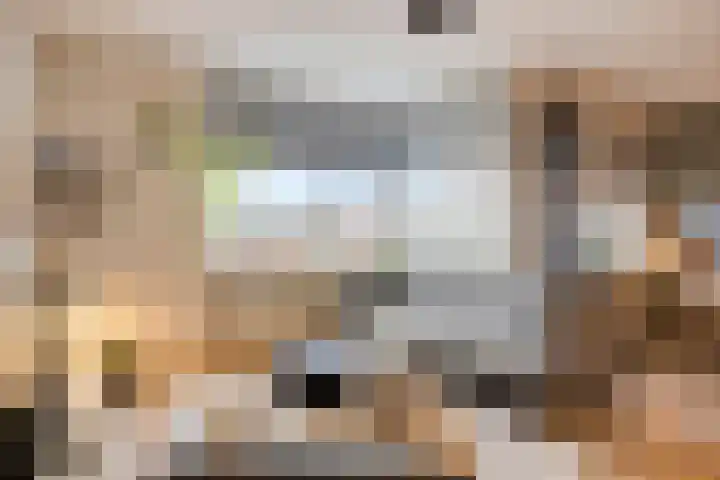 Nieuwe Bouwlingstraat 93 Oosterhout thumbnail 8