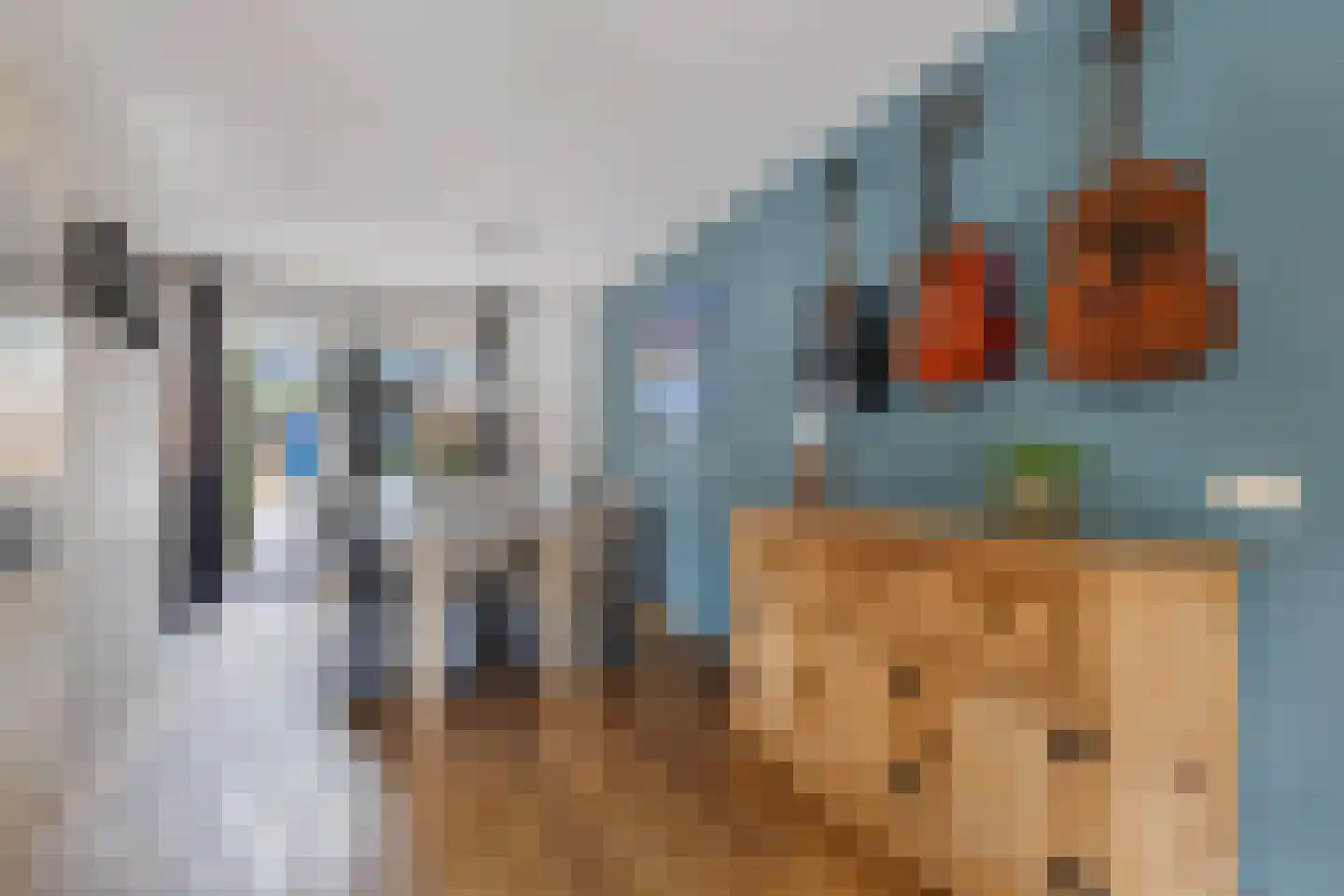Nieuwe Bovenweg 8 Steggerda thumbnail 11
