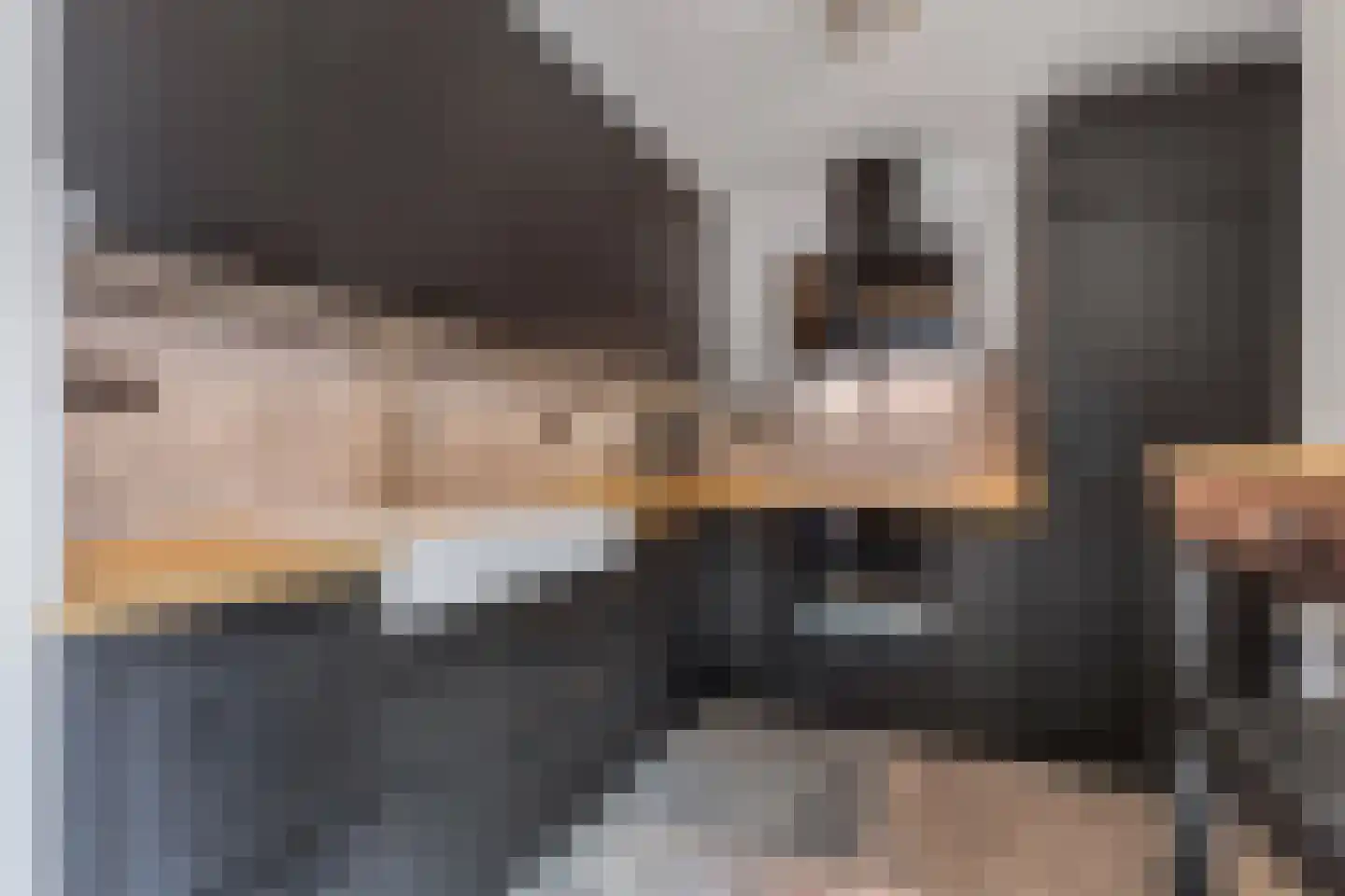 Nieuwe Bovenweg 8 Steggerda thumbnail 15