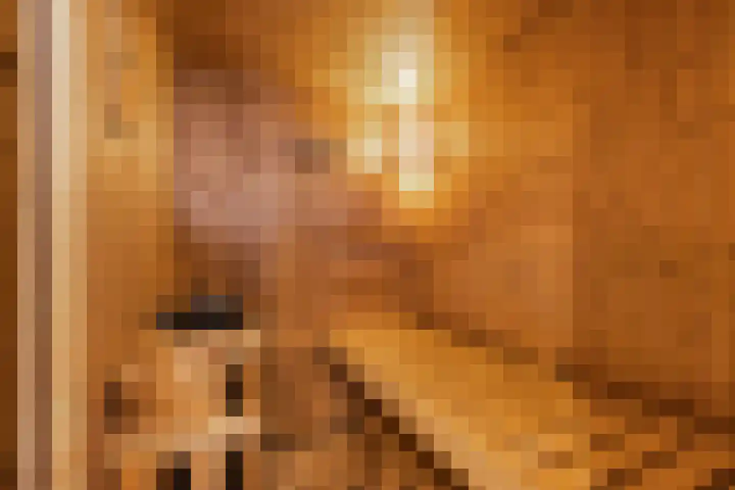 Nieuwe Bovenweg 8 Steggerda thumbnail 20